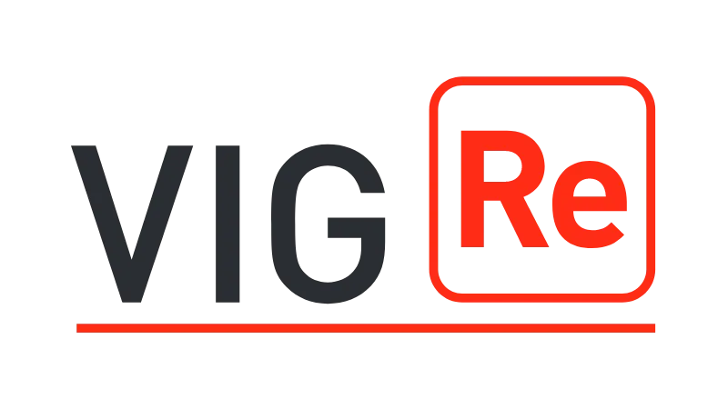 VIG Re logo