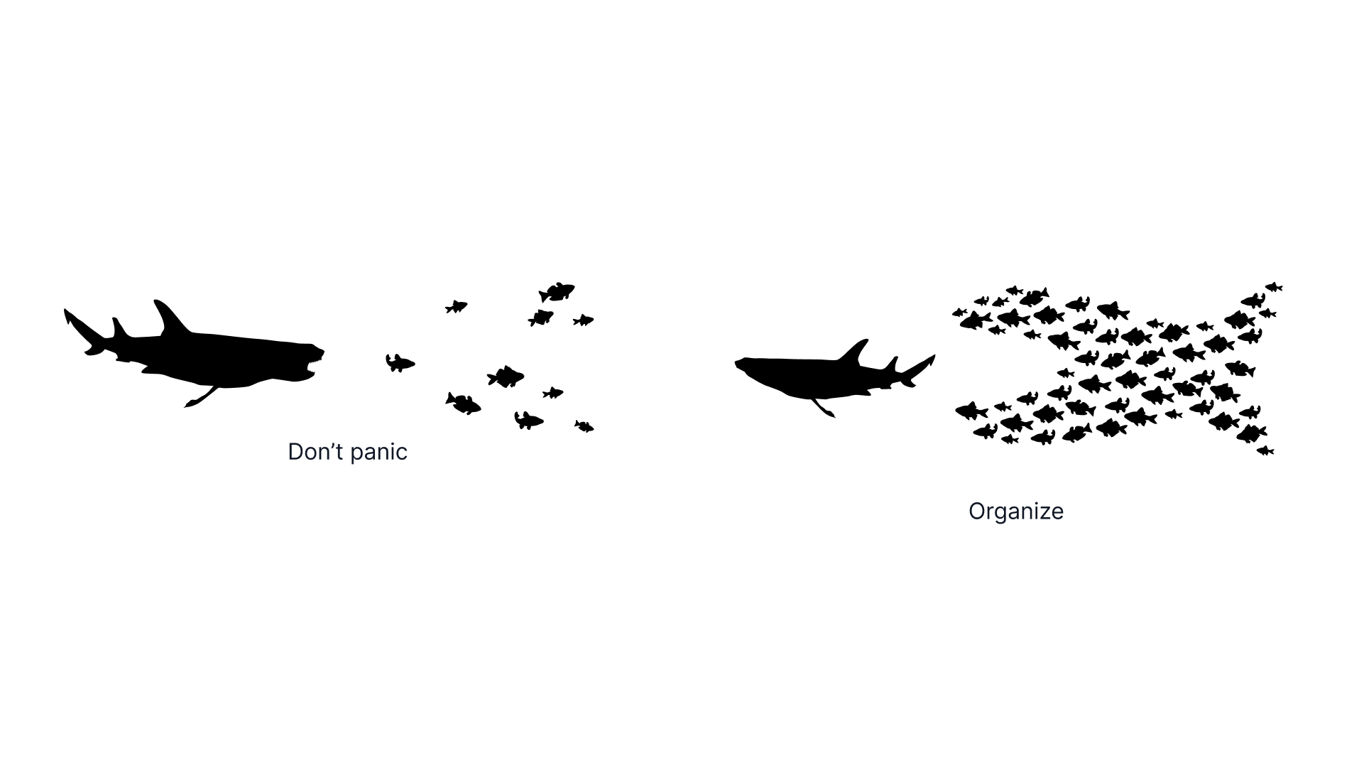 An illustration of the power of cooperation. You should organize, not panic. For data governance, you need some allies
